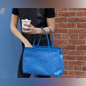 Goyard Bellechasse Biaude PM Bag!  Structured, Light! HARD TO FIND! IT GIRL!